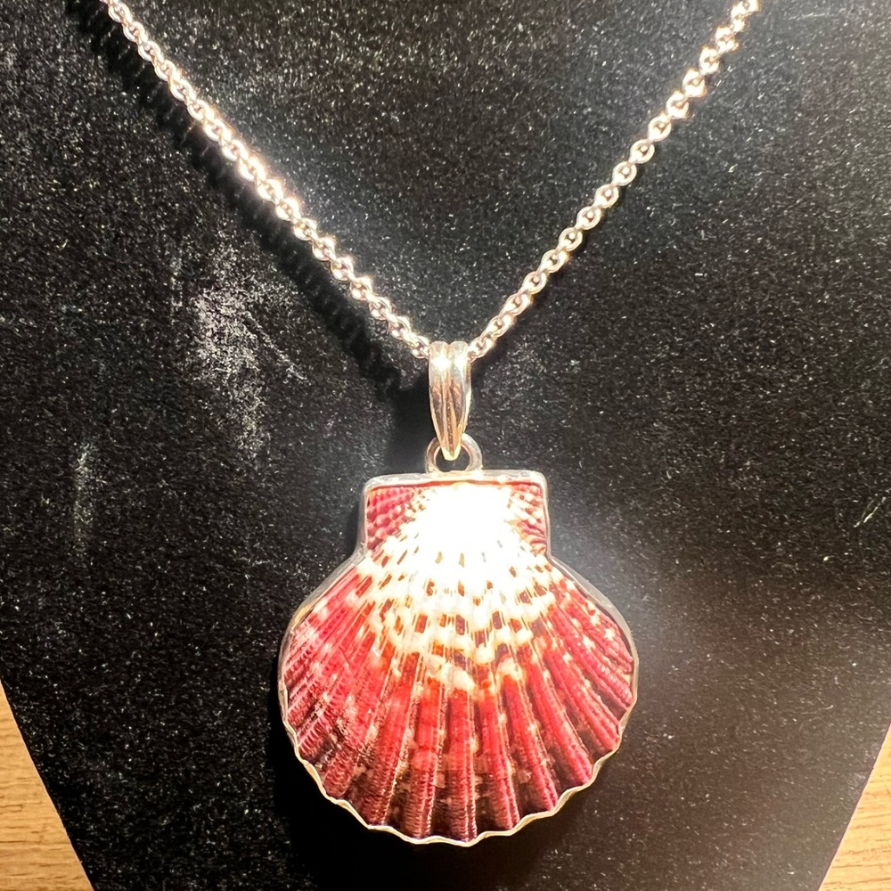 Silver shell necklace